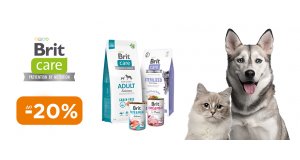 Фото - Brit Care: СКИДКА до 20% на корм и лакомства для собак