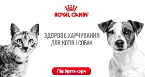 Фото - Royal Canin: широкий асортимент у наявності