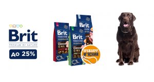Фото - Brit Premium: СКИДКА до 25% на корм для собак