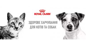 Фото - Royal Canin: широкий асортимент у наявності