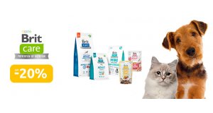 Фото - Brit Care: ЗНИЖКА до 20% на корм та ласощі для котів