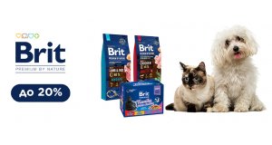 Фото - Brit Premium: СКИДКА до 20% на корм для кошек