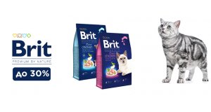 Фото - Brit Premium: СКИДКА до 30% на корм для кошек