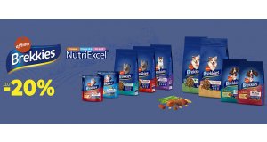 Фото - Brekkies: СКИДКА до 20% на сухой корм для кошек и собак