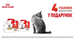 Фото - Royal Canin:  при покупке сухого корма для кошек 1,5 или 2 кг получите  4 пауча в ПОДАРОК