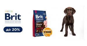 Фото - Brit Premium: СКИДКА до 20% на корм для собак