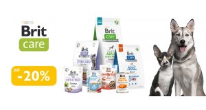 Фото - Brit Care: ЗНИЖКА до 20% на корм і ласощі для котів та собак