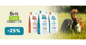 Фото - Brit Care: СКИДКА до 25% на корм и лакомства для собак