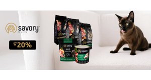Фото - Savory: СКИДКА до 20% на корм и лакомства для кошек