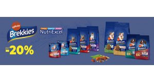 Фото - Brekkies: СКИДКА до 20% на сухой корм для кошек и собак