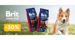 Фото - Brit Premium: СКИДКА до 30% на корм и лакомства для собак