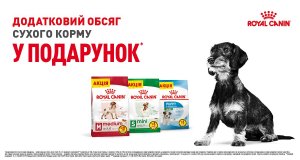 Фото - Royal Canin АКЦИЯ получи  «12 кг + 3 кг» и «7 кг + 1 кг» сухого корма в подарок