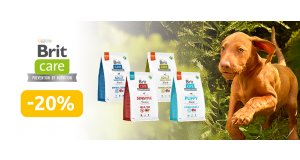 Фото - Brit Care: ЗНИЖКА до 20% на корм і ласощі для собак