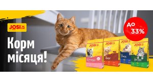 Фото - JosiCat: ЗНИЖКА 33% на сухий корм для котів