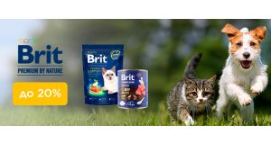Фото - Brit Premium: ЗНИЖКА до 20% на корм для котів