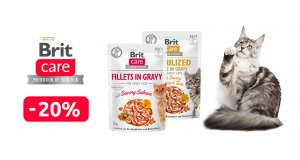 Фото - Brit Care: СКИДКА до 20% на корм для кошек