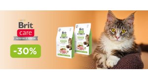 Фото - Brit Care: ЗНИЖКА до 30% на корм та ласощі для котів