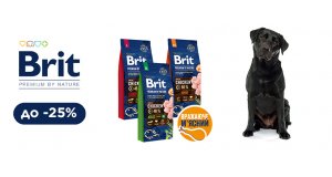 Фото - Brit Premium: СКИДКА до 25% на корм для собак