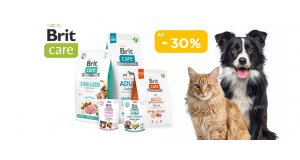 Фото - Brit Care: СКИДКА до 30% на корм и лакомства для кошек и собак