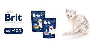 Фото - Brit Premium: СКИДКА до 40% на корм для кошек