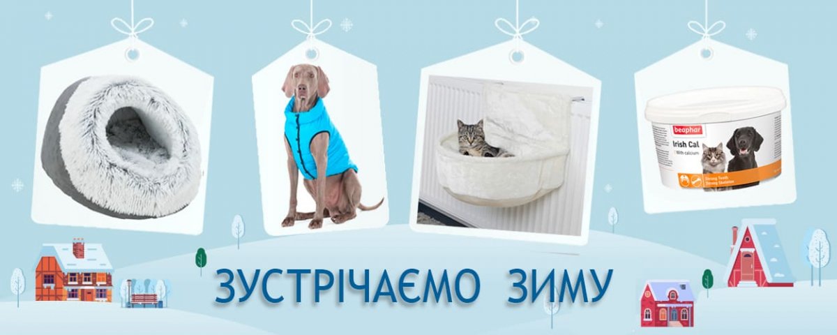 фото-home-2021-12-01