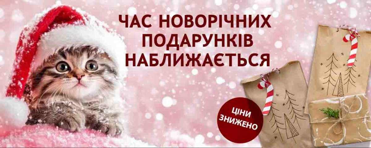 фото-podarki-kotu-na-novyj-god-2025