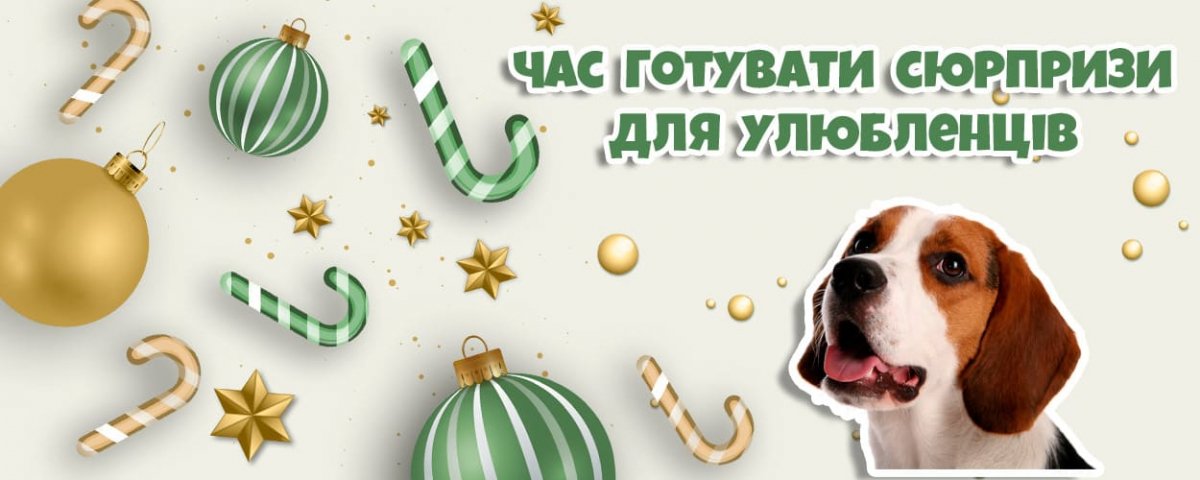 фото-podarki-sobake-na-novyj-god-2025