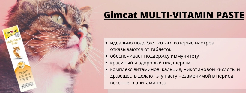 Читать онлайн «Лечим авитаминоз народными средствами», Юрий Константинов – ЛитРес