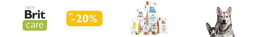 brit_care_aktsiia_obshchaia_koshki_2026_06