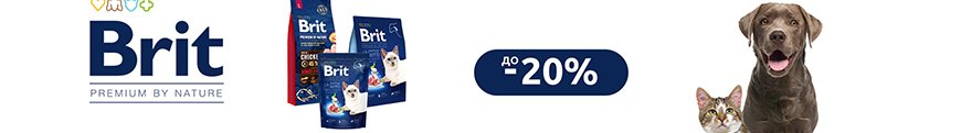 brit_premium_aktsiia_sobaki_suhoj_2025_07