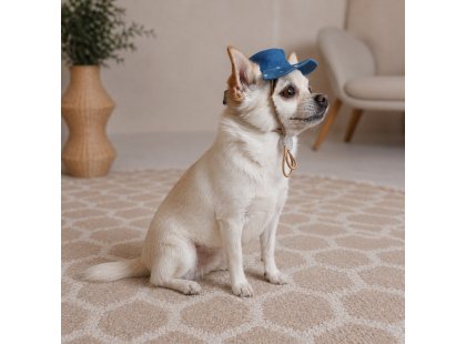 Фото 5 -  одяг Pet Fashion Stars панама для собак