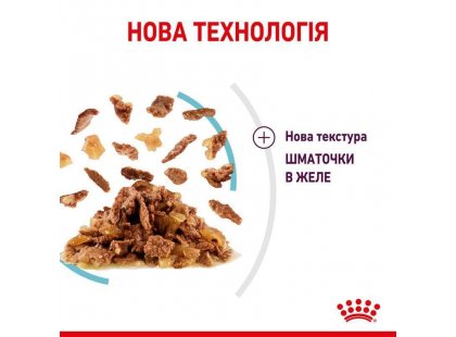 Фото - влажный корм (консервы) Royal Canin SENSORY FEEL JELLY консервы для привередливых кошек