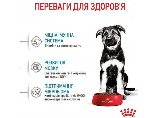 Фото - сухой корм Royal Canin MAXI PUPPY корм для щенков крупных пород от 2 до 15 месяцев