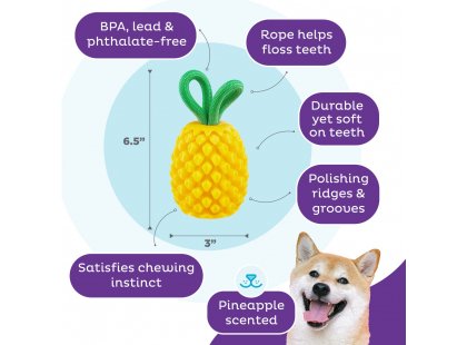 Фото 6 -  игрушки Outward Hound Pineapple Dental жевательная игрушка для лакомств для собак АНАНАС