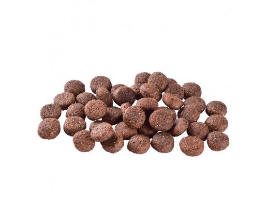 Фото - сухой корм Brit Care Dog Grain Free Sensitive Venison беззерновой сухой корм для собак с чувствительным пищеварением и кожей ОЛЕНИНА