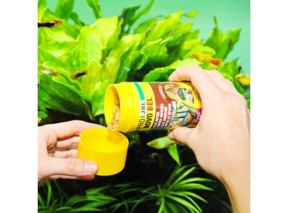 Фото 5 -  корм для рыб JBL Pronovo Bel корм для всех аквариумных рыб, хлопья