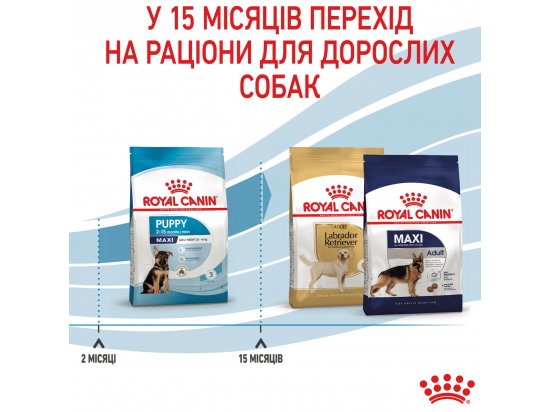 Фото 5 -  сухой корм Royal Canin MAXI PUPPY корм для щенков крупных пород от 2 до 15 месяцев