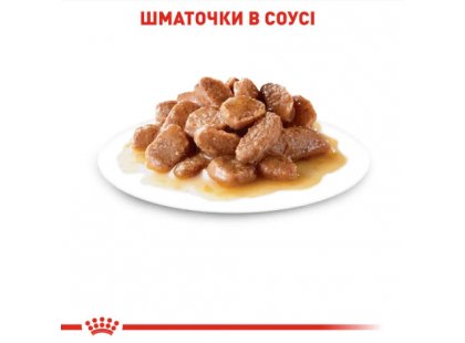 Фото 5 -  вологий корм (консерви) Royal Canin INSTINCTIVE in GRAVY консерви для котів