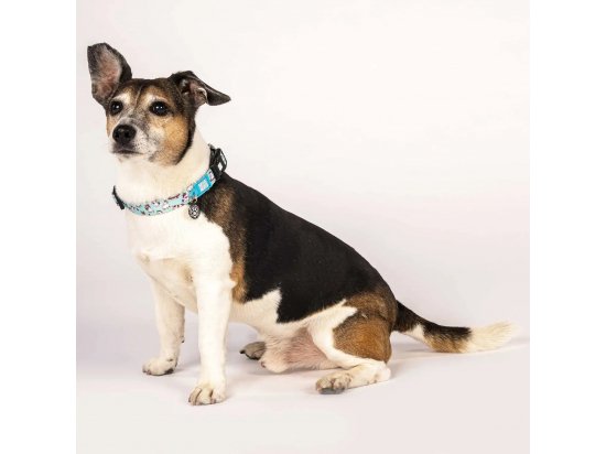 Фото - амуниция Max & Molly Urban Pets Smart ID Collar ошейник для собак с QR-кодом Unicorn