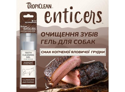 Фото - для зубів та пащі Tropiclean ENTICERS SMOKED BEEF BRISKET гель для чищення зубів собак КОПЧЕНА ЯЛОВИЧА ГРУДКА