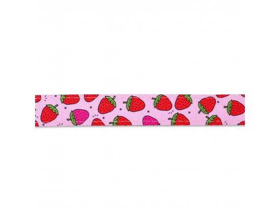 Фото - амуніція Max & Molly Urban Pets Multi-Function Leash багатофункціональний повідець для собак Strawberry