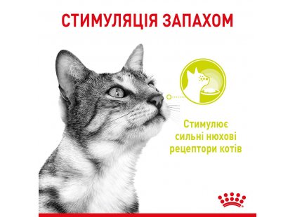 Фото - влажный корм (консервы) Royal Canin SENSORY MULTIPACK GRAVY консервы для привередливых кошек НАБОР