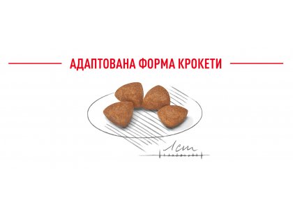 Фото 13 -  сухой корм Royal Canin X-SMALL PUPPY (ЩЕНКИ МЕЛКИХ ПОРОД) корм для щенков до 10 месяцев