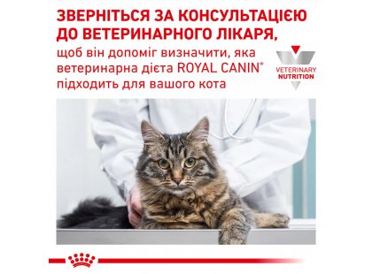 Фото - ветеринарные корма Royal Canin SKIN & COAT сухой лечебный корм для кошек