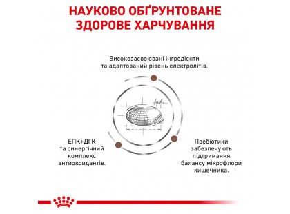 Фото - ветеринарные корма Royal Canin GASTRO INTESTINAL MODERATE CALORIE (ГАСТРО ИНТЕСТИНАЛ УМЕРЕННАЯ КАЛОРИЙНОСТЬ) сухой лечебный корм для кошек