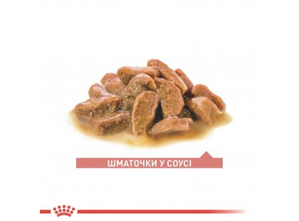 Фото 2 -  влажный корм (консервы) Royal Canin Ageing 11+ влажный корм для пожилых кошек старше 11 лет