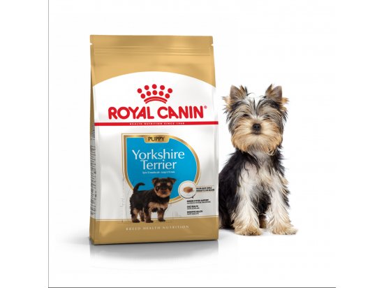 Фото - сухой корм Royal Canin YORKSHIRE TERRIER PUPPY (ЙОРКШИР ТЕРЬЕР ПАППИ) корм для щенков до 10 месяцев