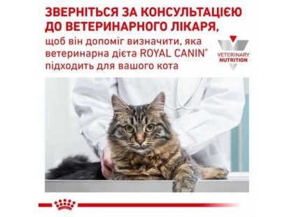 Фото - ветеринарные корма Royal Canin GASTRO INTESTINAL MODERATE CALORIE лечебные консервы для кошек