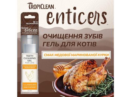 Фото - для зубов и пасти Tropiclean ENTICERS HONEY MARINATED CHICKEN гель для чистки зубов котов КУРИЦА МАРИНОВАННАЯ МЕДОМ