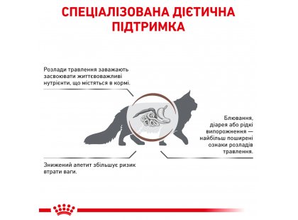 Фото - ветеринарні корми Royal Canin GASTRO INTESTINAL GI32 (ГАСТРО ІНТЕСТИНАЛ) сухий лікувальний корм для котів від 1 року